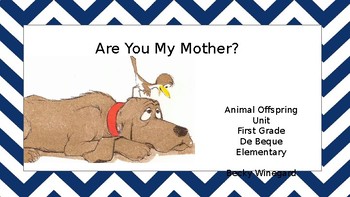 Preview of First Grade Science Animals Unit: Offspring