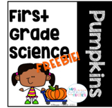 First Grade Science: Pumpkins FREEBIE