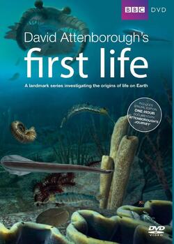 Preview of First Life with David Attenborough Bundle PDF