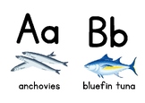 Fish Alphabet Flash Cards