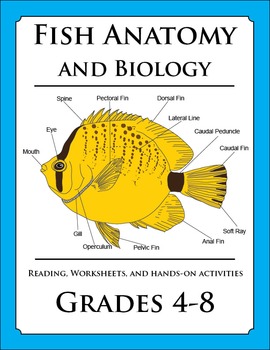 Preview of Fish Anatomy and Biology Lesson