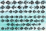 Fish Charm Font