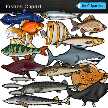 corals and fish clipart image