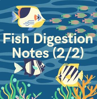Preview of Fish Digestion Notes (2/2)