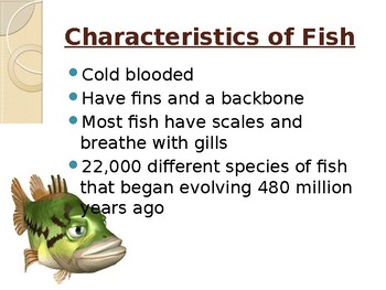 Preview of Fish Dissection Guide