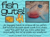 Fish Guts! ~ A Hands-On Science Activity on Fish and Food Chains