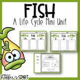 Fish Life Cycle