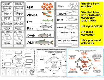 Fish Life Cycle Art Activity, word wall, posters and printable books