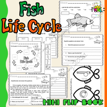 Fish Life Cycle Science Pack 2nd Grade Flip Book Included by My New ...