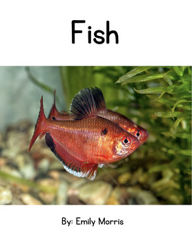 Preview of Fish - Nonfiction Digraphs Decodable Reader
