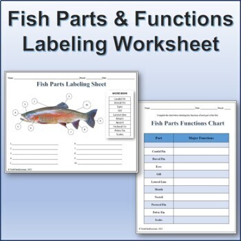 Preview of Fish Parts & Functions Labeling Worksheet for Google Slides
