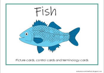 Preview of Fish Terminology Cards