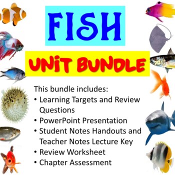 Preview of Fish Unit Bundle Hagfish, Lampreys, Sharks, Rays, Skates, Chimaeras, & Bony fish