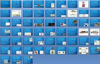 Preview of Fishes Amphibians Smartboard Notebook Presentation Lesson Plan