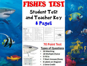Preview of Fishes Chapter Test and Teacher Key (Biology / Zoology)