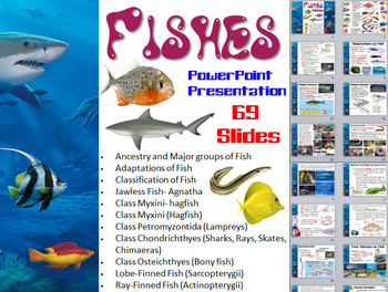 Preview of Fishes PowerPoint Presentation (Biology / Zoology) - 69 slides