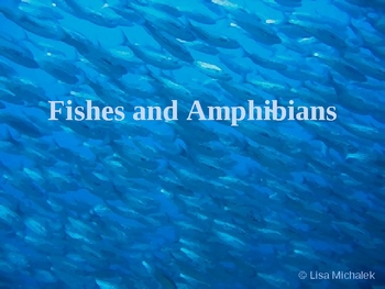 Preview of Fishes and Amphibians PowerPoint Presentation Lesson Plan