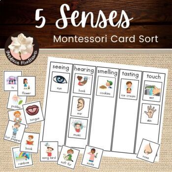 Preview of Five (5) Senses Montessori Card Sort