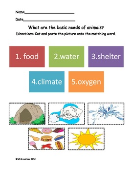 Five Basic Needs of Animals by MaryLou Breedlove | TPT