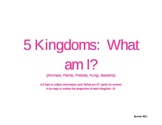 Five Kingdom Riddles