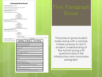 informative essay mixed up essay answers