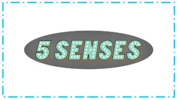 Preview of Five Senses!