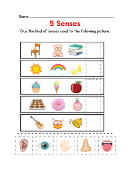 Preview of Five Senses
