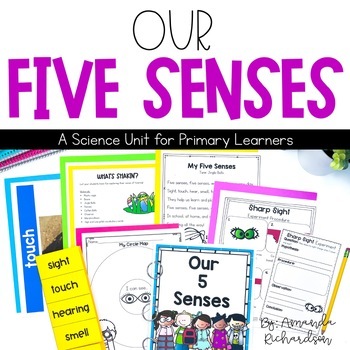 Preview of My Five Senses Activities, 5 Senses Sort, 5 Senses Worksheet