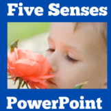 5 Five Senses | PowerPoint Activity Kindergarten 1st 2nd 3