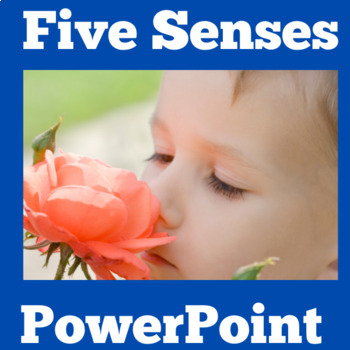 Preview of 5 FIVE SENSES Activity PowerPoint Kindergarten 1st 2nd 3rd Grade SCIENCE