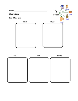 Preview of Five Senses by Teacher's Brain