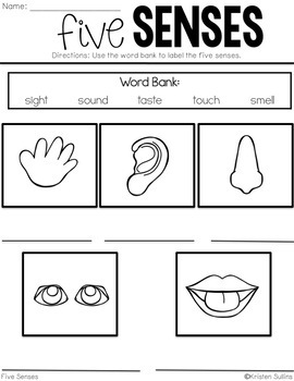 Five Senses by Kristen Sullins | Teachers Pay Teachers