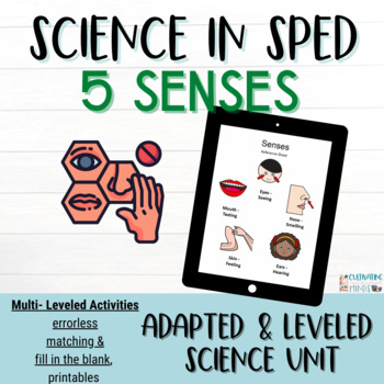 Preview of Five Senses | 5 Senses Adapted Science Units for Special Education | ESY 