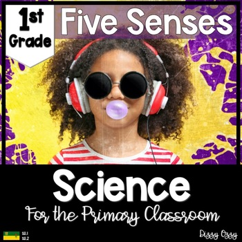 Preview of Five Senses