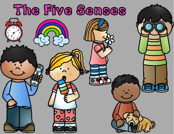 Preview of Five Senses | Sorting Center