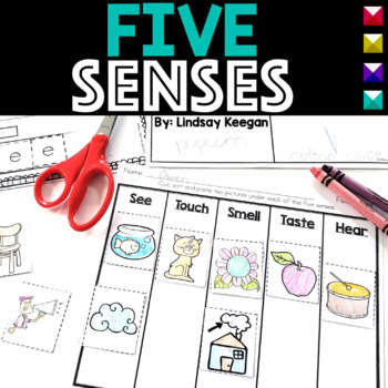Preview of Five Senses Worksheets and Activities