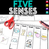 Five Senses Worksheets and Activities