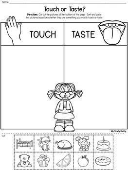 five senses activities kindergarten by my study buddy tpt