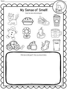 five senses activities kindergarten by my study buddy tpt