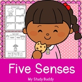 Five Senses Activities & Worksheets (Kindergarten)