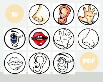 Preview of Five Senses Activity Printable.
