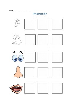 Preview of Five Senses Activity for Preschool or Low Verbal Autism