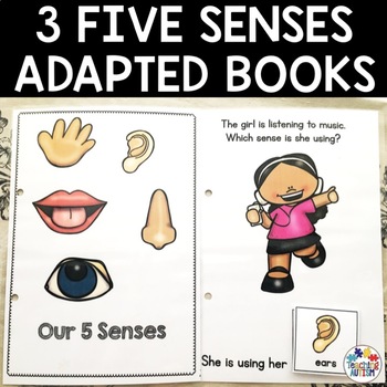Preview of Our Five Senses Adapted Books for Special Education