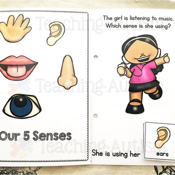 Our Five Senses Adapted Books for Special Education by Teaching Autism