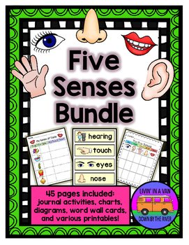 Preview of Five Senses BUNDLE