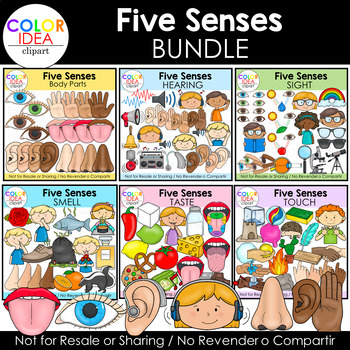 Preview of Five Senses BUNDLE