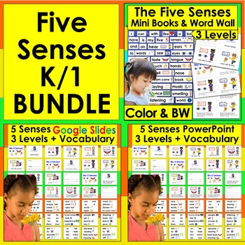 Preview of Five Senses BUNDLE Mini Books, Word Wall Google Slides & PowerPoint Presentation