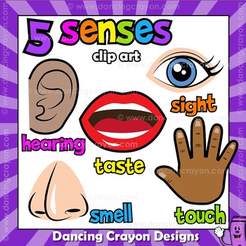Five Senses Clip Art by Dancing Crayon Designs | TpT