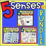 Five Senses Activities | Five Senses BUNDLE