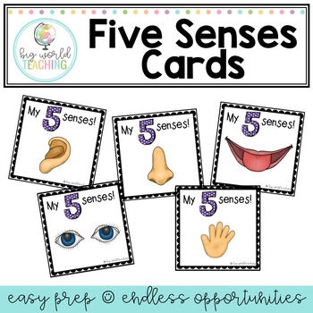 Preview of My Five Senses Cards